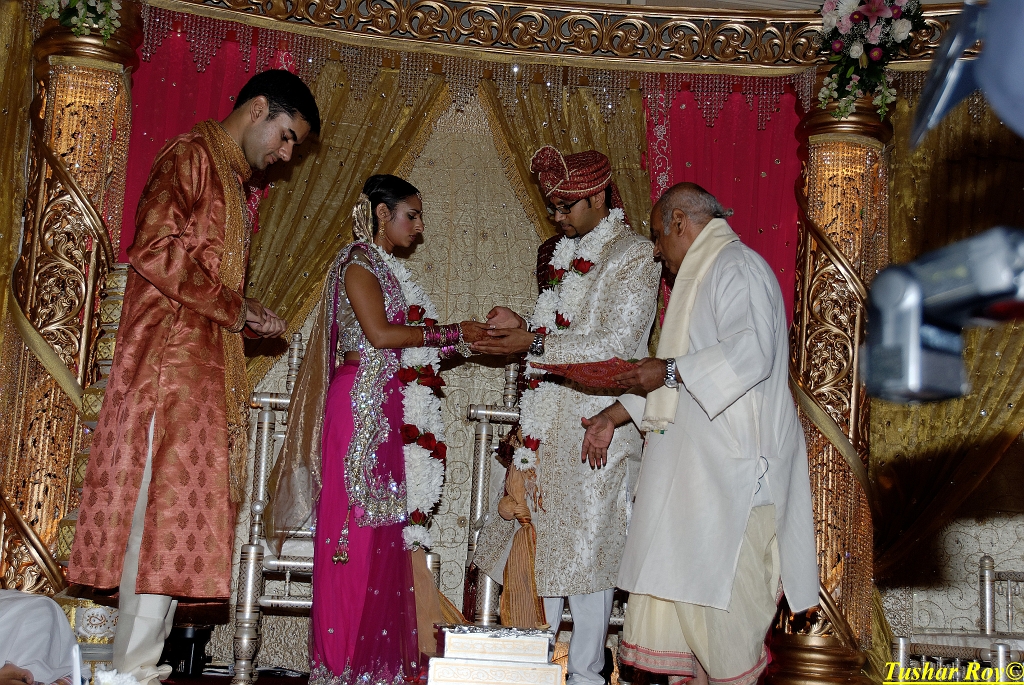 PAYAL_WEDDING-tr Image_1132.jpg